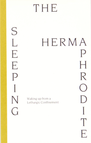 The Sleeping Hermaphrodite